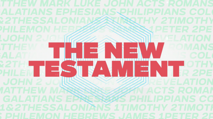 The New Testament Song by Seeds Kids Worship